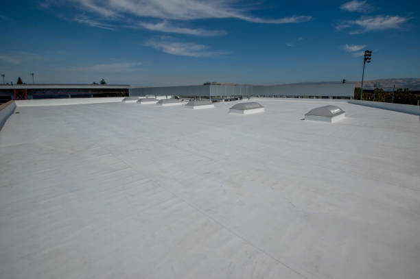 Best Rubber Roofing (EPDM, TPO)  in Coldwater, OH