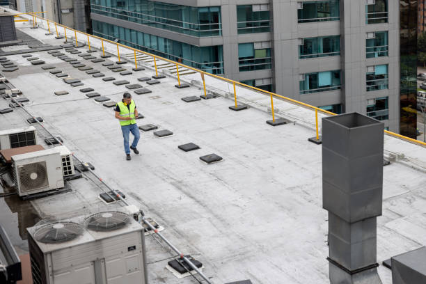 Best Skylight Installation and Repair  in Coldwater, OH
