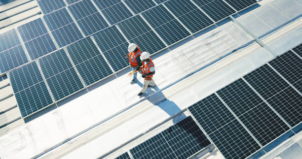 Best Storm Damage Roof Repair  in Coldwater, OH