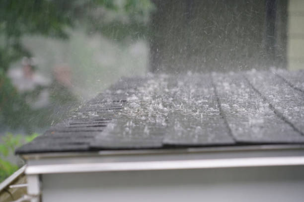 Best Roof Moss and Algae Removal  in Coldwater, OH