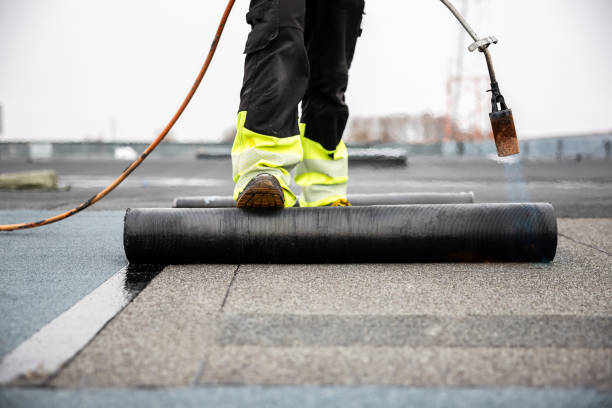 Best Cold Roofs  in Coldwater, OH