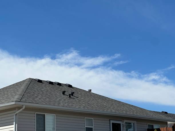 Best Roof Maintenance and Cleaning  in Coldwater, OH